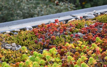 the cost of Sulaisiadar green roof installation