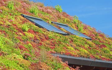 Sulaisiadar living roof systems